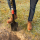 Cat Szpadel k-series d-handle garden spade - 1604203 - zdjęcie 2